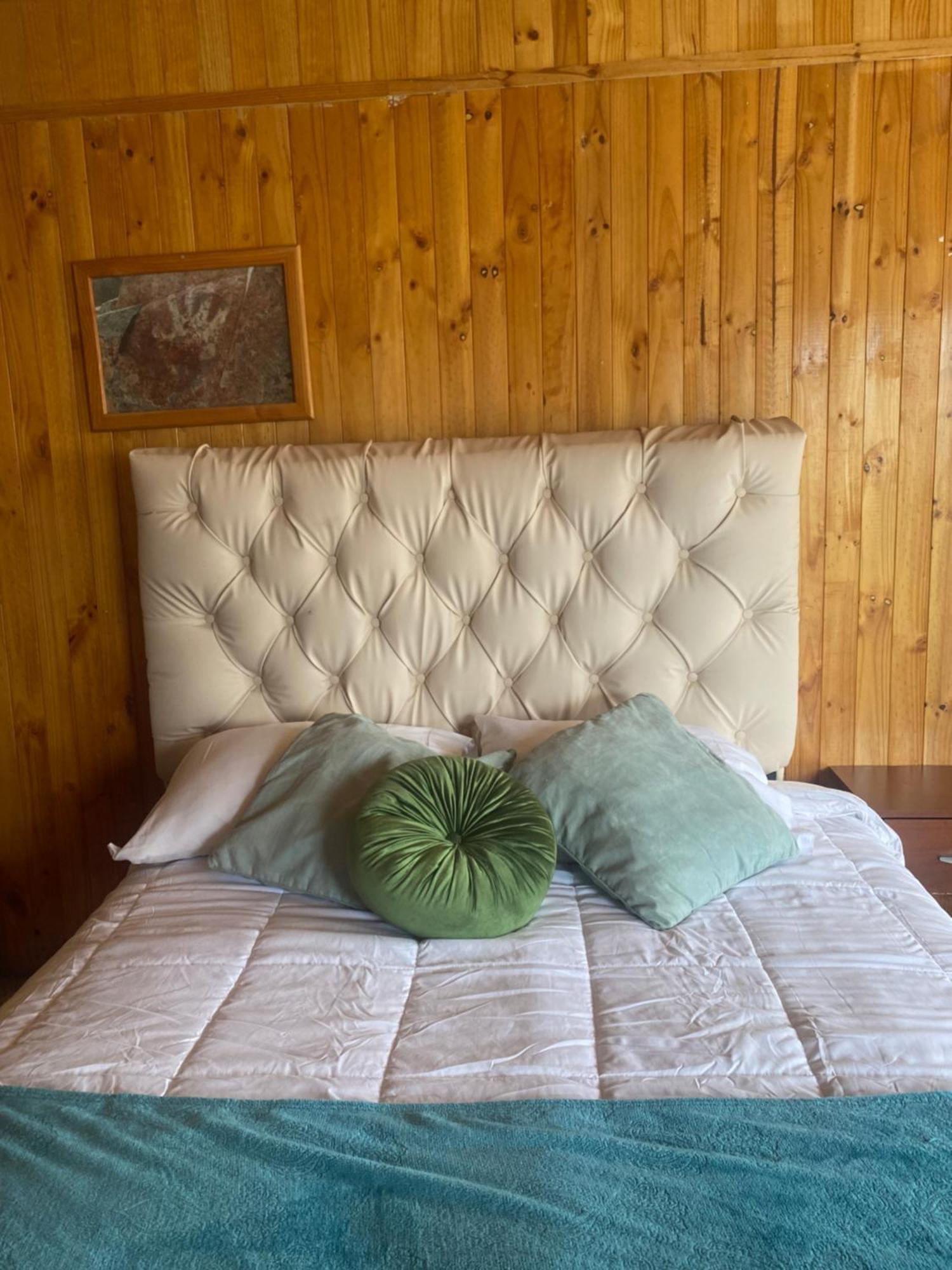 Hospedaje Cabana Y Restaurante Don Niba Villa Cerro Castillo Εξωτερικό φωτογραφία